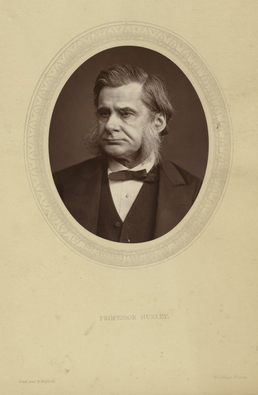 Retrato de Thomas Henry Huxley de Lock and Whitfield