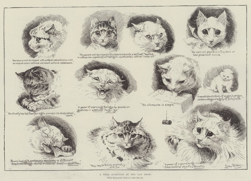 Um cientista Tyro no Cat Show de Louis Wain