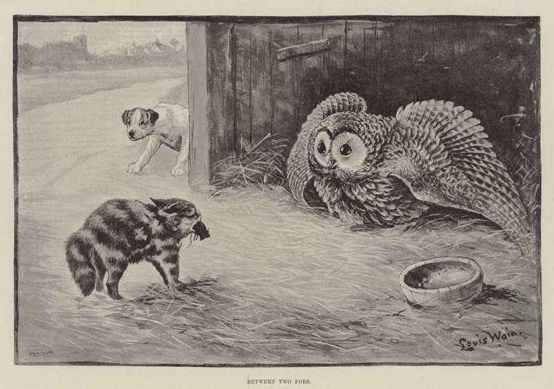 Entre dois inimigos de Louis Wain