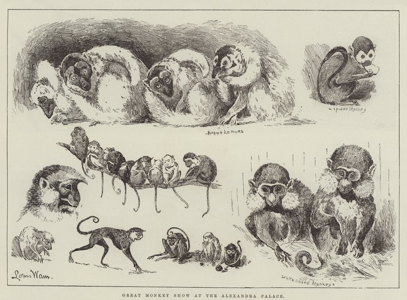 Great Monkey Show no Alexandra Palace de Louis Wain