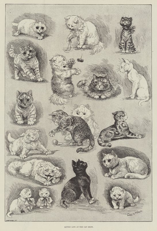 Vida de gatinho no show de gato de Louis Wain