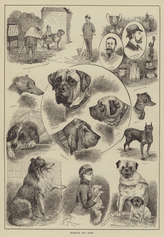 Margate Dog Show de Louis Wain