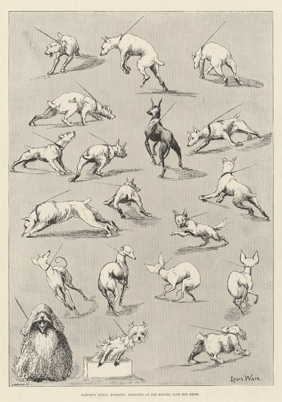 Momentos de Natureza da Natureza, Esboços no Kennel Club Dog Show de Louis Wain