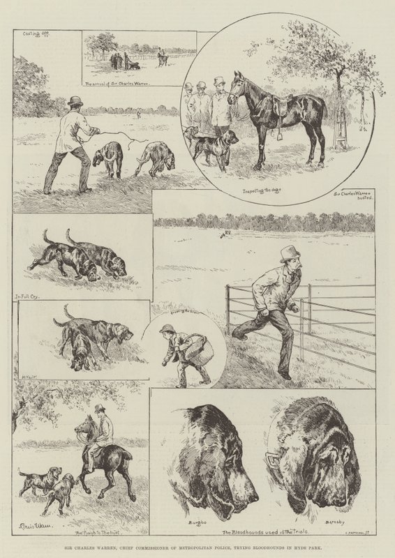 Sir Charles Warren, Comissário Principal da Polícia Metropolitana, tentando Bloodhounds no Hyde Park de Louis Wain