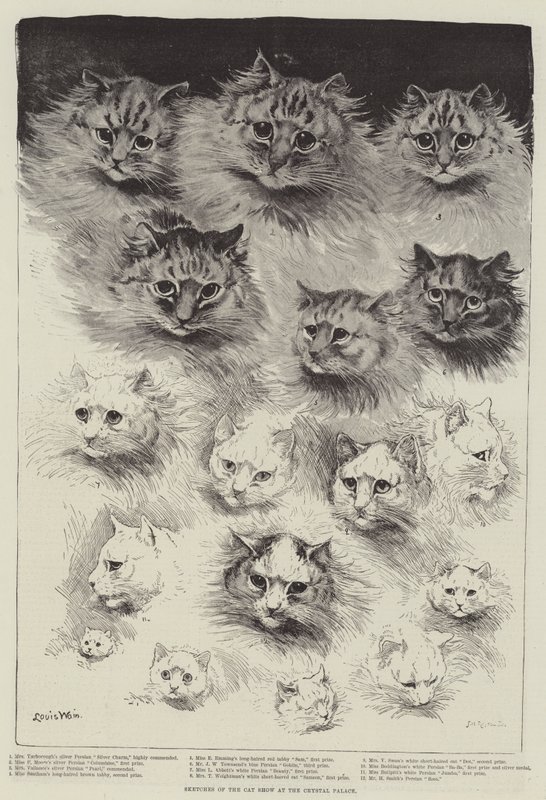 Esboços do Show dos Gatos no Palácio de Cristal de Louis Wain