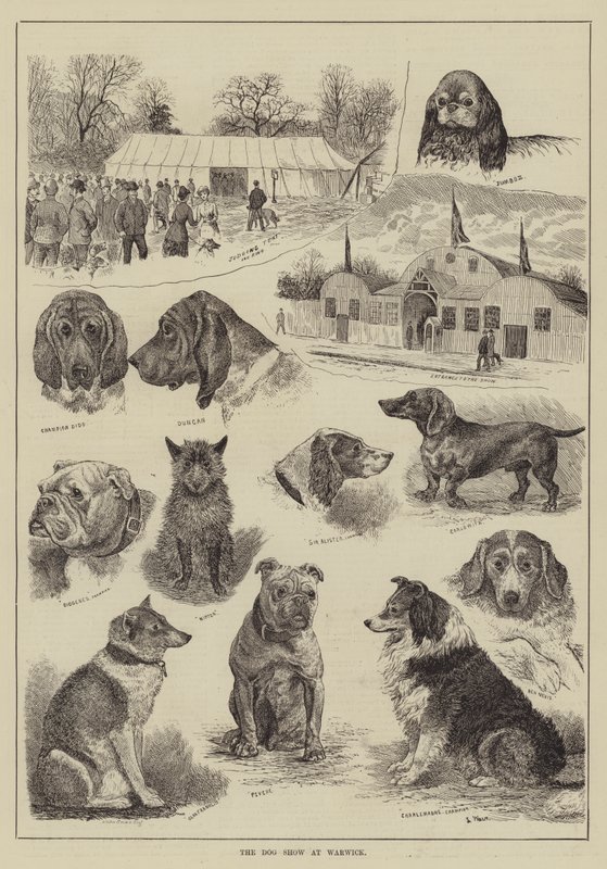A mostra de cão em Warwick de Louis Wain