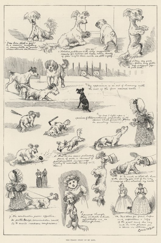 A história trágica da minha vida de Louis Wain