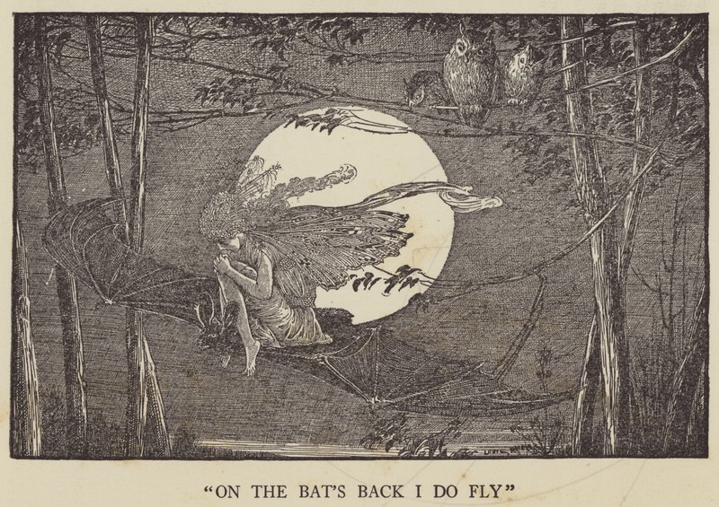 Nos morcegos, eu voo de Louis John Rhead