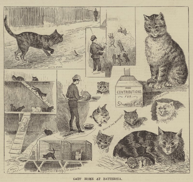 Casa dos gatos em Battersea de Louis Wain