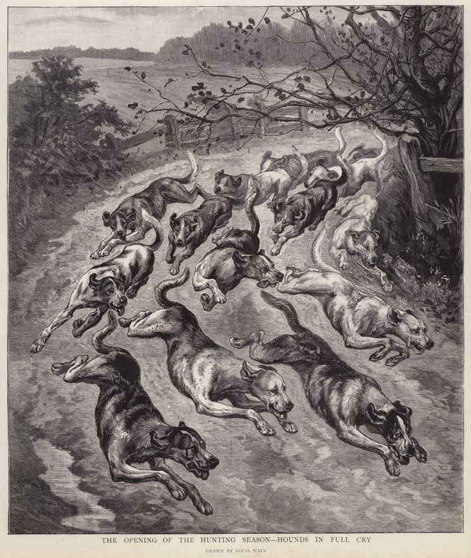 Cães de caça em pleno choro no início da época de caça (litho) de Louis Wain