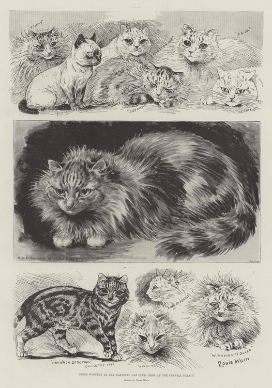 Vencedores do Prêmio no National Cat Club Show no Crystal Palace de Louis Wain