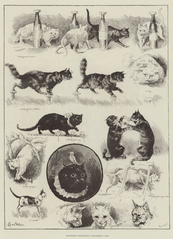 Professor Fredericks &39;Performing Cats de Louis Wain