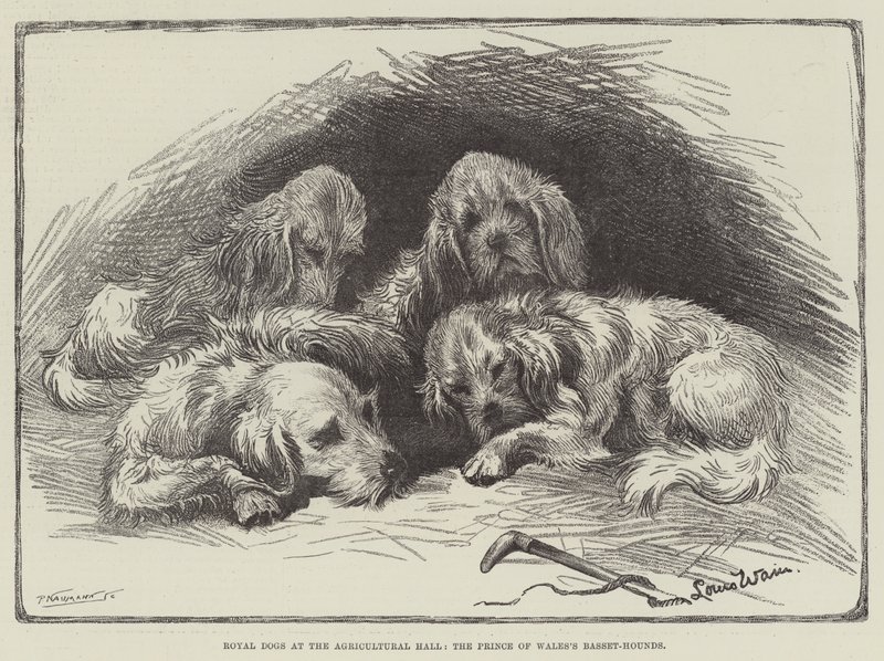 Cães Reais no Salão Agrícola, os Basset-Hounds do Príncipe de Gales de Louis Wain