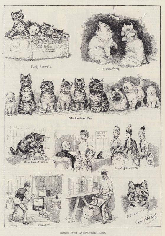 Esboços no Cat Show, Crystal Palace de Louis Wain