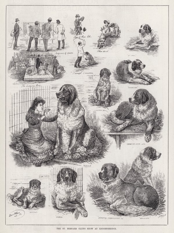 O Show do Clube de São Bernardo em Knightsbridge (gravação) de Louis Wain