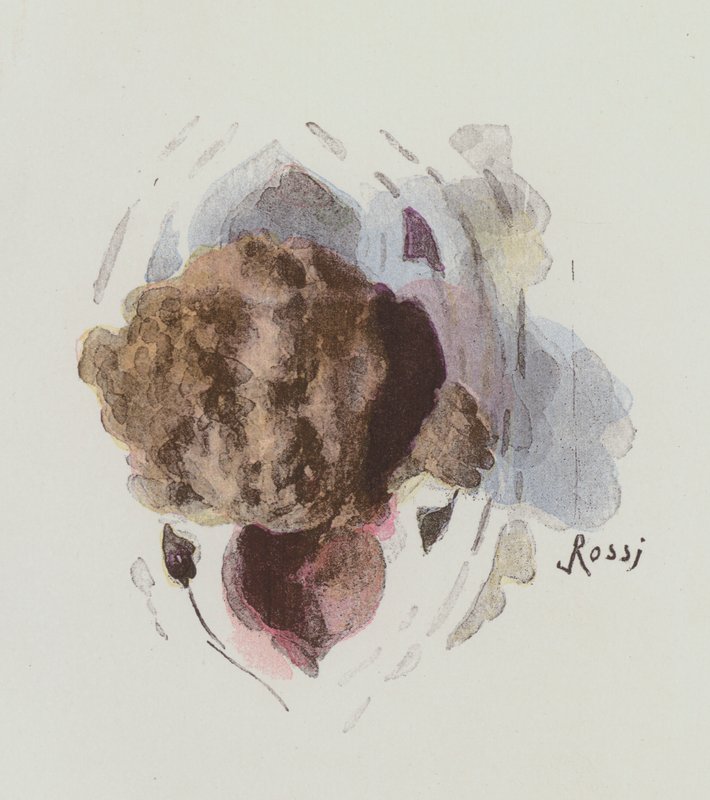 Ilustração para Notre-Dame De Paris por Victor Hugo de Lucius Rossi