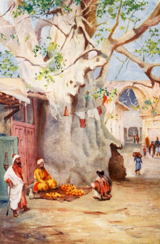 Grande banana-da-terra no bazar, Damasco (litografia a cores) de Margaret Thomas