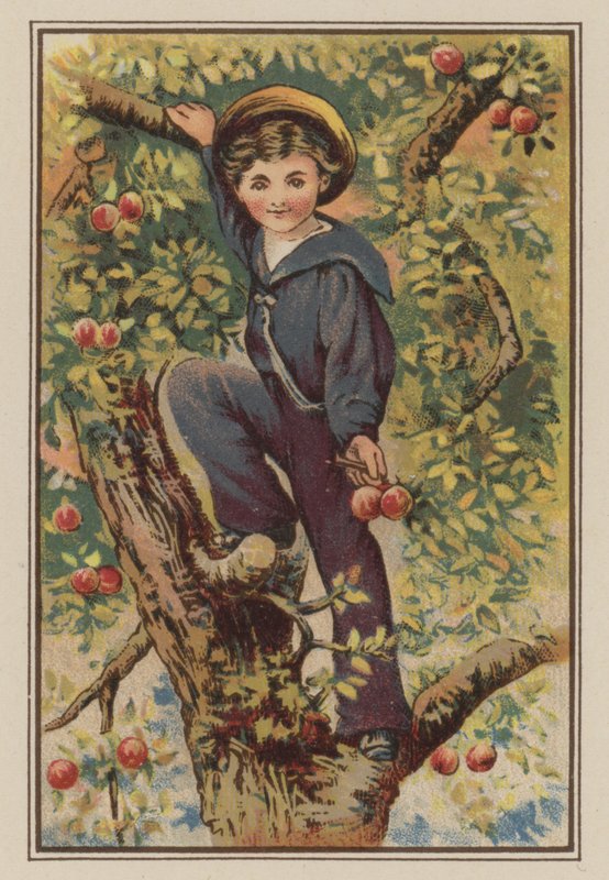 Menino, escalando, macieira, (chromolitho) de Mary Ellen Edwards