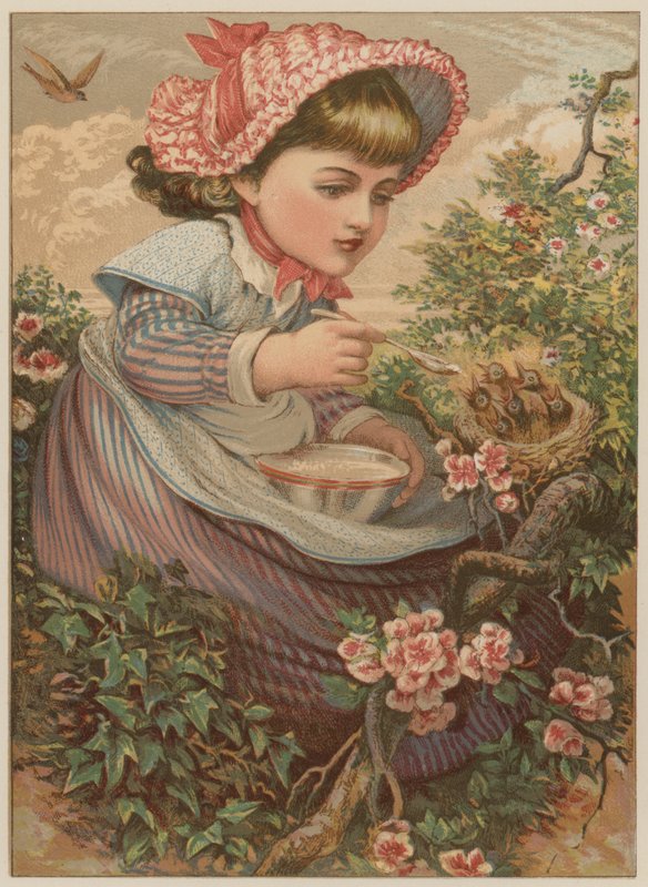 Menina, alimentação, pássaros bebê, (chromolitho) de Mary Ellen Edwards