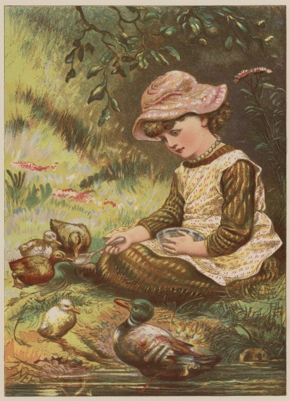 Menina, alimentação, ducklings, (chromolitho) de Mary Ellen Edwards
