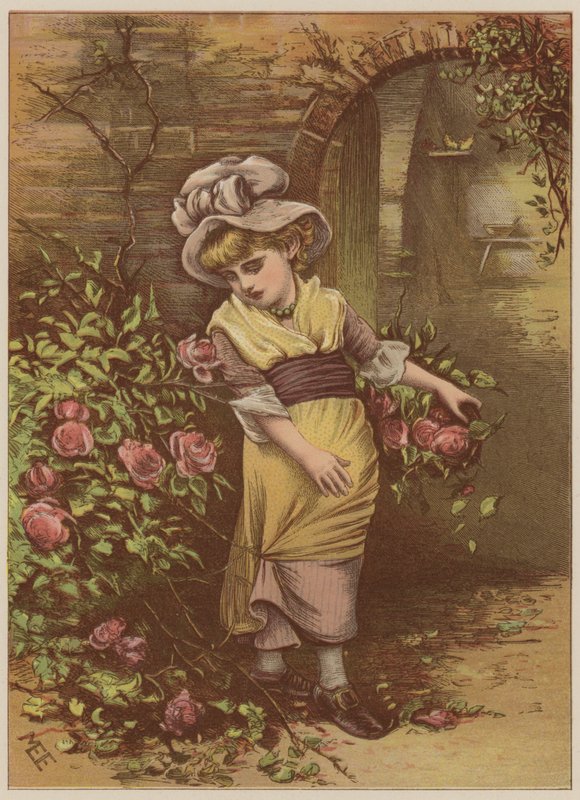 Menina, colheita, rosas, (chromolitho) de Mary Ellen Edwards