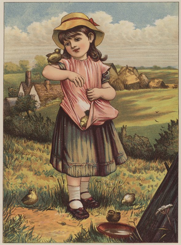 Menina, com, pintainhos, (chromolitho) de Mary Ellen Edwards