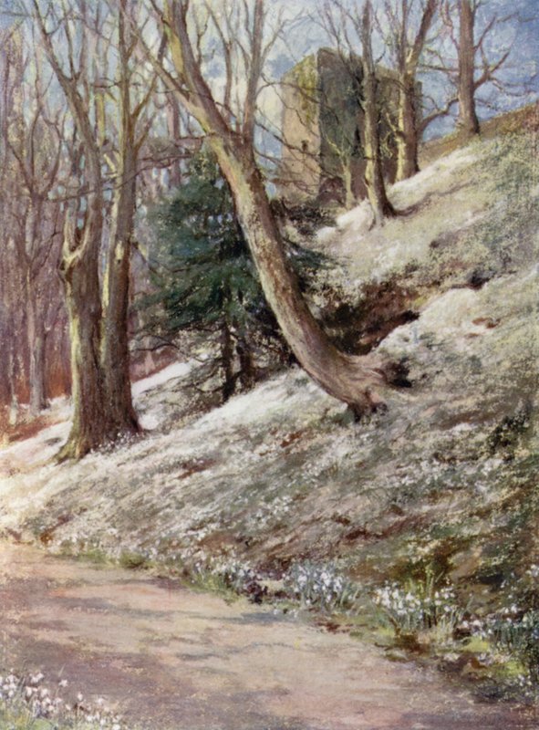 Scottish Gardens: Ardgowan (cor litho) de Mary Georgina Wade Wilson