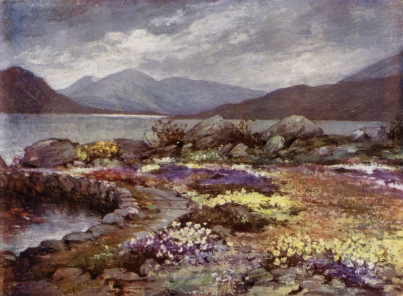 Scottish Gardens: Corrour (cor litho) de Mary Georgina Wade Wilson