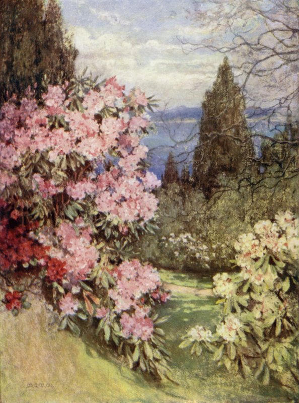 Jardins escoceses: Stonefield de Mary Georgina Wade Wilson