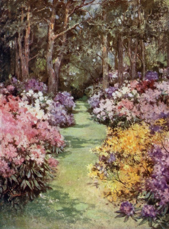 Scottish Gardens: O Hirsel (cor litho) de Mary Georgina Wade Wilson