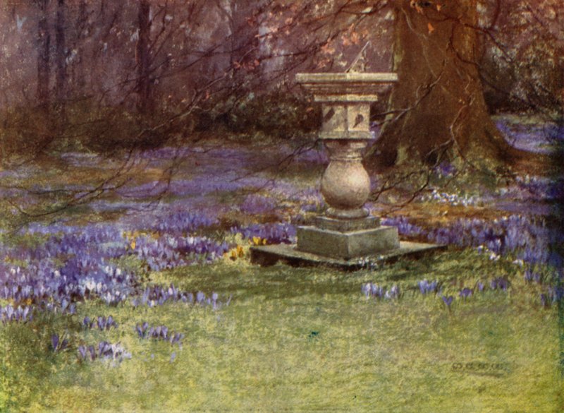 Scottish Gardens: Whitehouse (cor litho) de Mary Georgina Wade Wilson