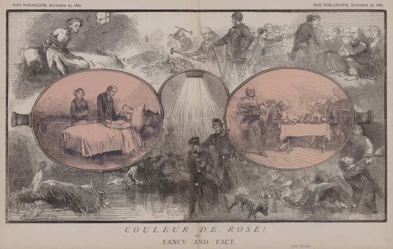 Couleur de Rose! ou, Fancy and Fact (cor litho) de Matthew