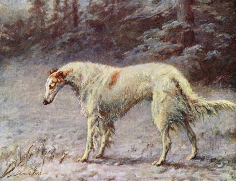 Campeão Ivan Turgeneff de Maud Earl