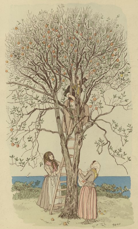 Apanhar laranjas no Mediterrâneo (cor litho) de Maurice Charles Mathieu Bonvoisin