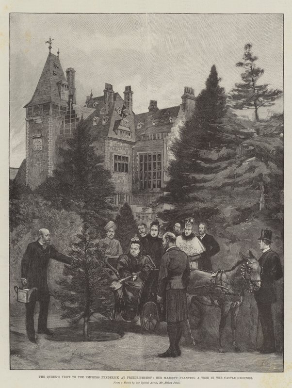 Visita da Rainha à Imperatriz Frederick em Friedrichshof, Sua Majestade plantando uma árvore nos jardins do castelo de Melton Prior