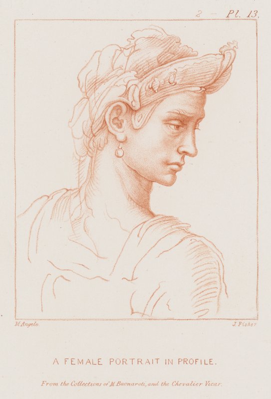Um, femininas, retrato, em, perfil de Michelangelo Buonarroti