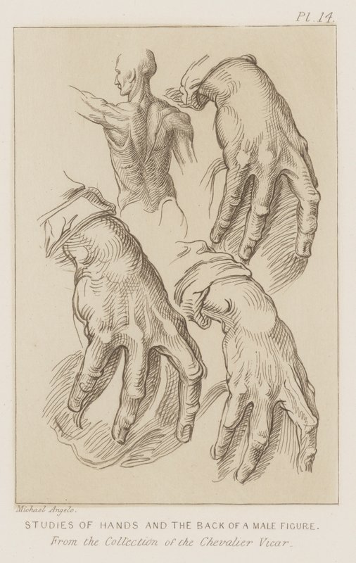 Estudos das mãos e das costas de uma figura masculina (gravura) de Michelangelo (after) Buonarroti