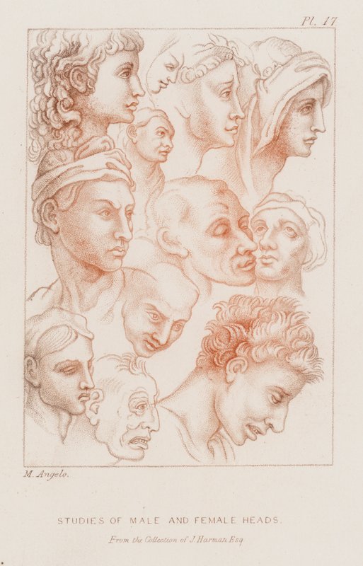 Estudos de cabeças masculinas e femininas (gravura) de Michelangelo (after) Buonarroti
