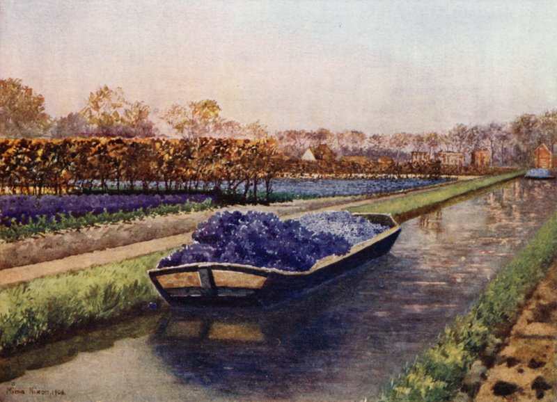 Um Barco cheio de Fragrâncias (cor litho) de Mima Nixon