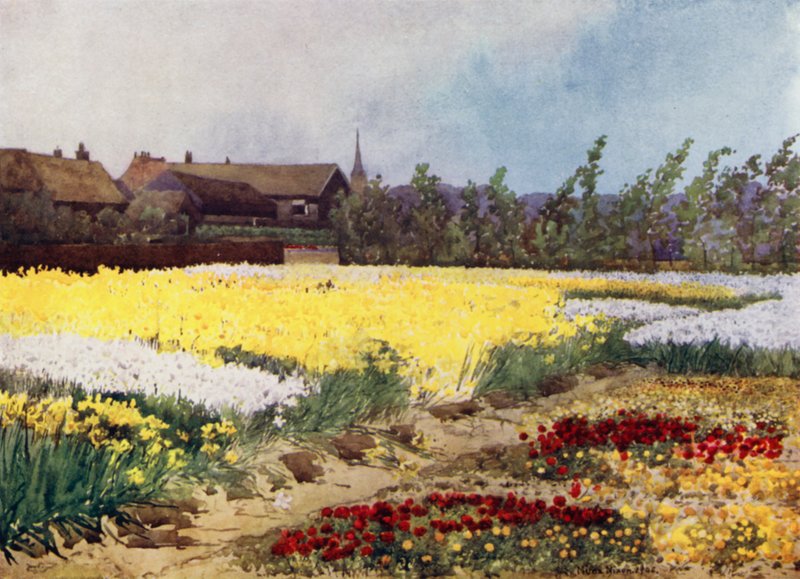 Uma Fazenda de Lâmpadas perto de Overveen (cor litho) de Mima Nixon