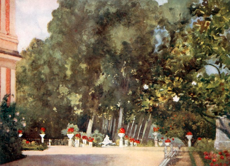 A árvore da magnólia, Aranjuez de Mima Nixon