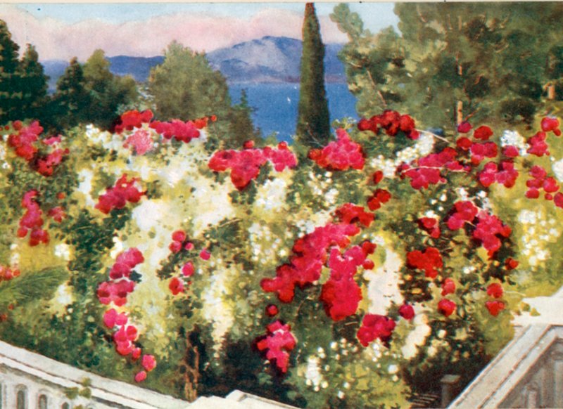 O Pergola Rose, o Achilleion, Corfu de Mima Nixon