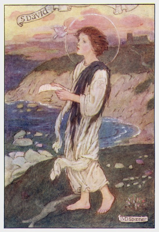 São David (cor litho) de Minnie Didbin Spooner