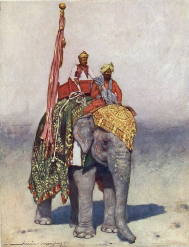 Um elefante de Jaipur de Mortimer Ludington Menpes