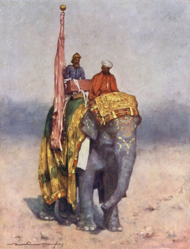Um elefante dos restos de Sandy de Rajputana de Mortimer Ludington Menpes