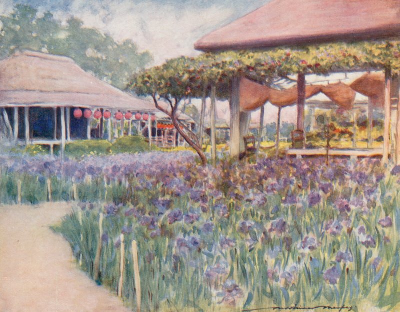 Um Iris Garden de Mortimer Ludington Menpes