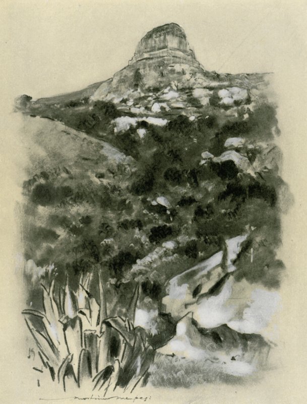 Bloemfontein de Mortimer Ludington Menpes