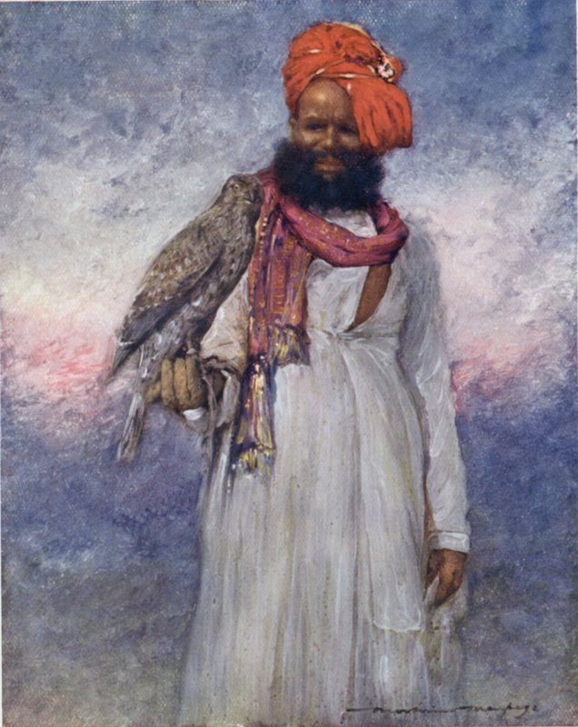 Um Falcão de Rajgarh (cor litho) de Mortimer Ludington Menpes