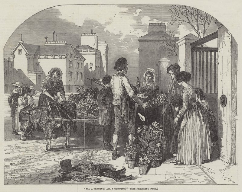 Tudo A-Blowing! Tudo em crescimento! de Myles Birket Foster