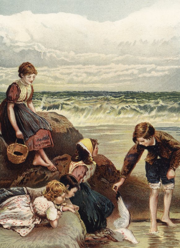 Alegrias De Verão de Myles Birket Foster